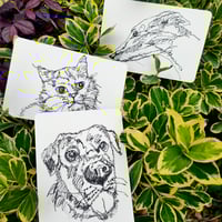 Image 1 of One Line Pet Drawing Commission (10x15cm)