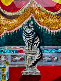 Image 2 of King Cats