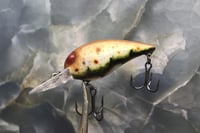 Image 2 of SPEEDBAITS Custom Airbrushed RAPALA WIGGLE WART CLONE 2959