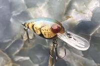 Image 3 of SPEEDBAITS Custom Airbrushed RAPALA WIGGLE WART CLONE 2968