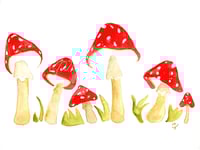 Mushrooms Print 