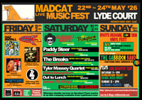 Image 1 of madcat mini music festival