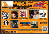 Image 2 of madcat mini music festival