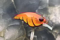 Image 2 of SPEEDBAITS Custom Airbrushed Sonic Crank 4375