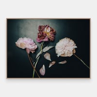 Image 1 of Etter festen