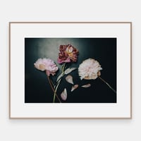 Image 2 of Etter festen