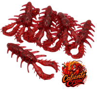 Image 15 of 3.1” BuzzCraw (8 Pack)