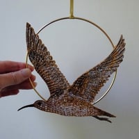 Image 4 of Curlew Hoop