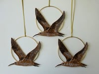 Image 5 of Curlew Hoop