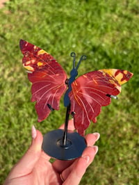 Image 2 of Mookaite Butterfly on Stand