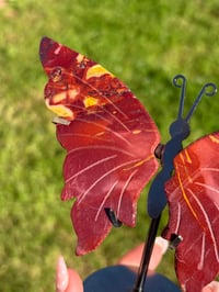 Image 3 of Mookaite Butterfly on Stand