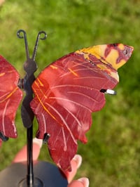 Image 4 of Mookaite Butterfly on Stand