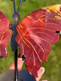 Image 5 of Mookaite Butterfly on Stand