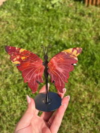 Image 6 of Mookaite Butterfly on Stand