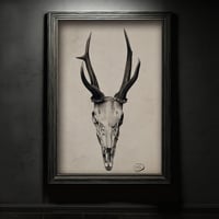 Image 2 of Stag Skull Watercolor Print: Gothic Macabre Wall Art