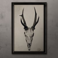 Image 3 of Stag Skull Watercolor Print: Gothic Macabre Wall Art