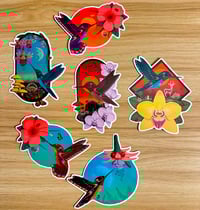Hummingbird sticker Pack. 