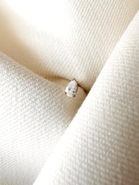 Image 2 of Boucles d'oreille puce PM DELICATESSE