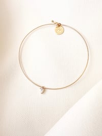 Image 2 of Jonc DELICATESSE