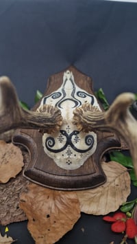 Image 2 of Deer Skull - "Moon" hand painted - OOAK