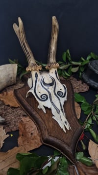 Image 3 of Deer Skull - "Moon" hand painted - OOAK