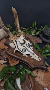 Image 5 of Deer Skull - "Moon" hand painted - OOAK