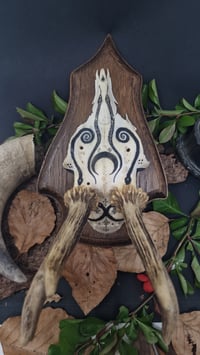 Image 4 of Deer Skull - "Moon" hand painted - OOAK