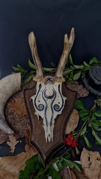 Image 1 of Deer Skull - "Moon" hand painted - OOAK