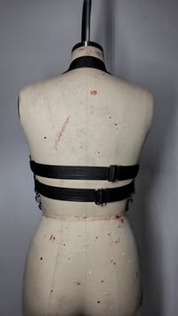 Image 4 of Exotic Snake Bra - Silver