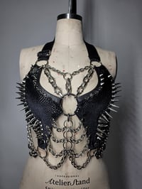 Image 1 of Exotic Snake Bra - Silver