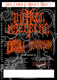 Sex, Cyber & Rock'n Roll Tour '95