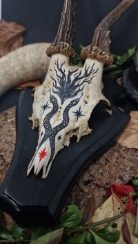 Image 1 of Deer Skull - "Red Star" hand painted - OOAK