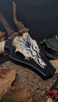 Image 2 of Deer Skull - "Red Star" hand painted - OOAK