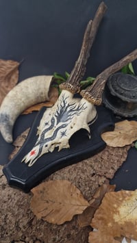 Image 3 of Deer Skull - "Red Star" hand painted - OOAK