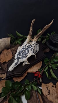 Image 1 of Deer Skull - "Nest" hand painted - OOAK