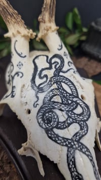 Image 3 of Deer Skull - "Nest" hand painted - OOAK