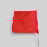 Image 2 of Replacement Flag