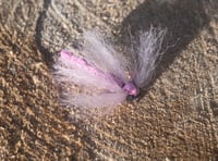 Dragon Flies 