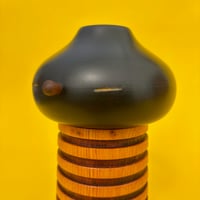 Image 2 of Tree Spirit Box - Shankar