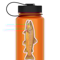 Image 1 of Brown Trout