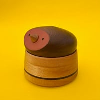 Image 2 of Bird Box - Orange