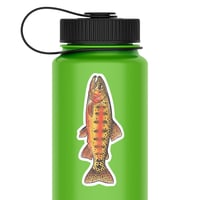 Image 1 of Golden Trout