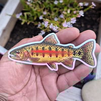 Image 2 of Golden Trout