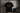 Class of 2026 Minimal Luxury Graduation T-Shirt – Elegant Gold Graduate Tee