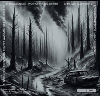 Image 2 of SPRUNG INS LEERE "Radio Dystopia" LP