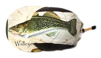 Image 1 of Walleye