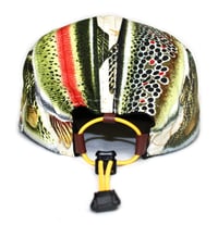 Image 5 of Fish face off