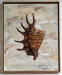 Image 1 of Chocolate Spider Conch original artwork