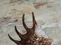 Image 5 of Chocolate Spider Conch original artwork