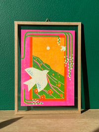 Image 1 of SPRING
